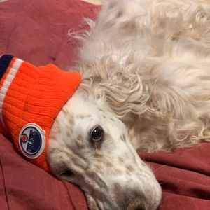 Meet your Posher, Wanda